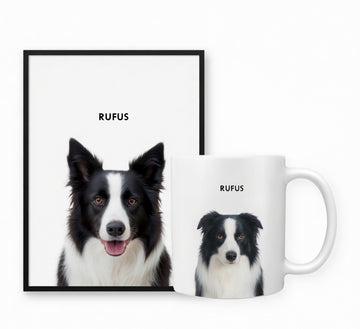 The General Pet Portrait