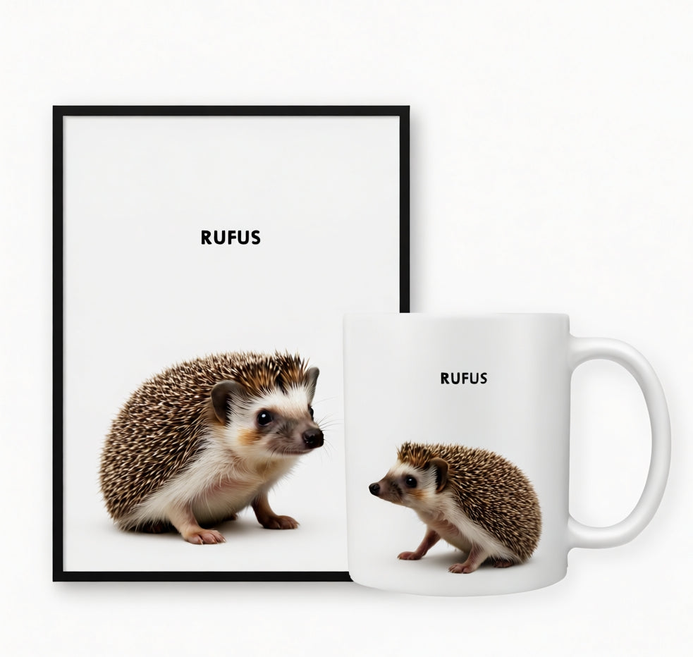 The General Pet Portrait