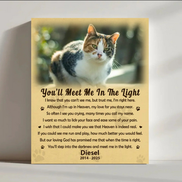 You'll Meet Me In The Light Cat Poem | Custom Cat Memorial Canvas Print