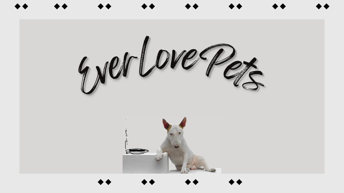 slider image slider_item_raNF8r