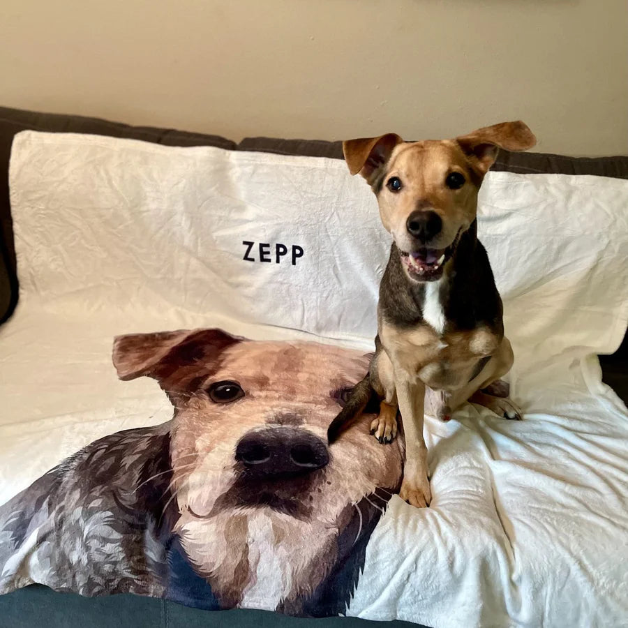 Custom Pet Blanket